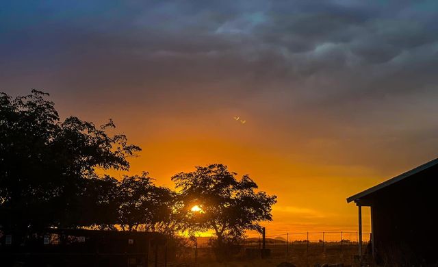 6949 Eric Ln, Wheatland, CA 95692