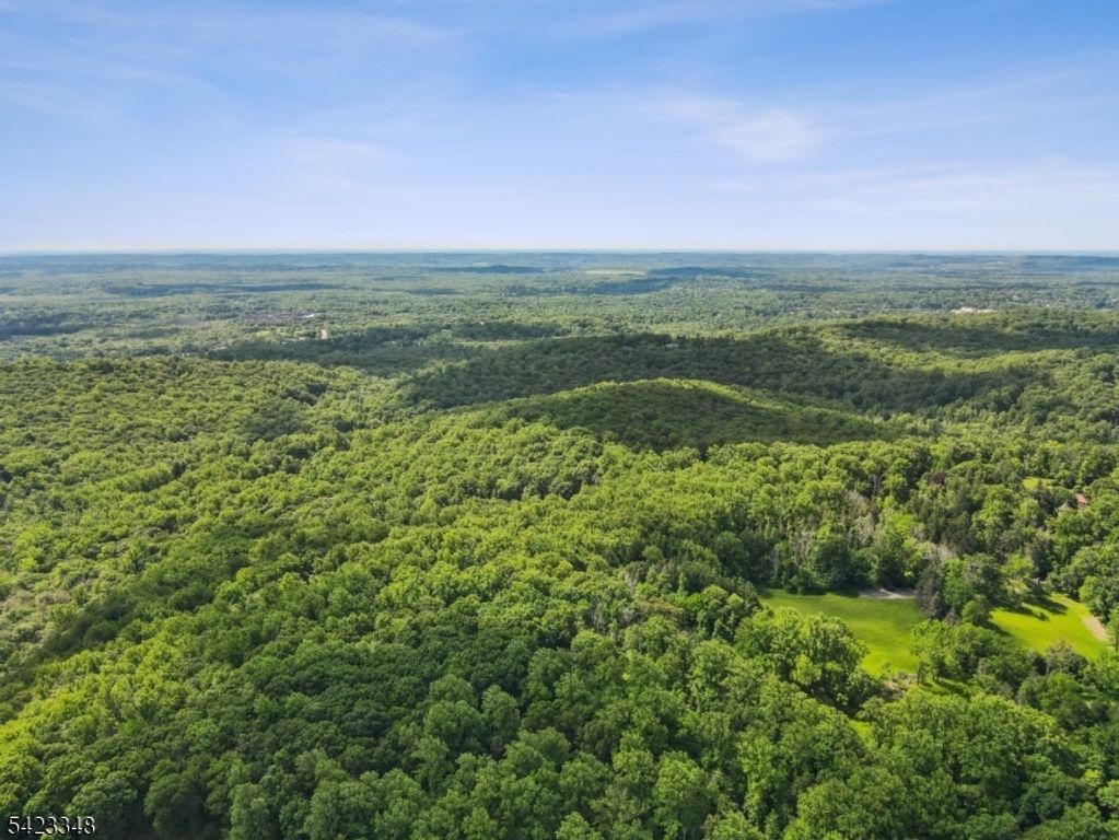 160 Jockey Hollow Rd, Bernardsville Boro, NJ 07924 — photo 2