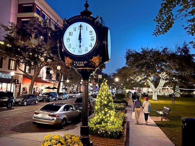 240 N PHELPS AVENUE, Winter Park, FL 32789