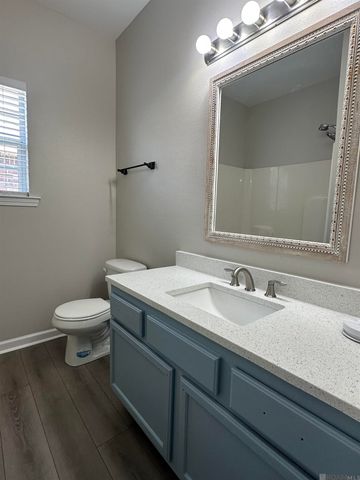 11333 Hampton Ct, Denham Springs, LA 70726
