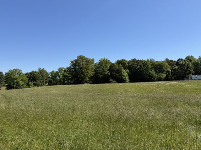 0 Flewellen Road, Springfield, TN 37172