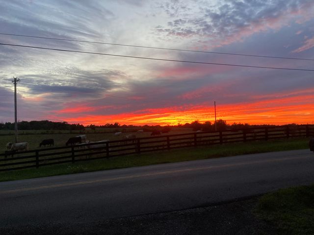 2613 Pine Grove Road, Paris, KY 40361