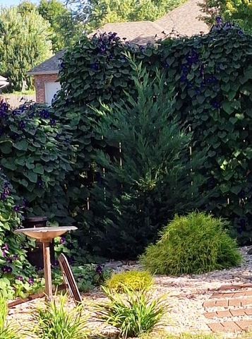 2325 W Camino Alto Street, Springfield, MO 65810