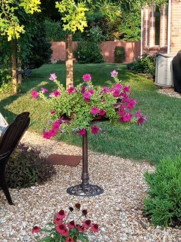 2325 W Camino Alto Street, Springfield, MO 65810