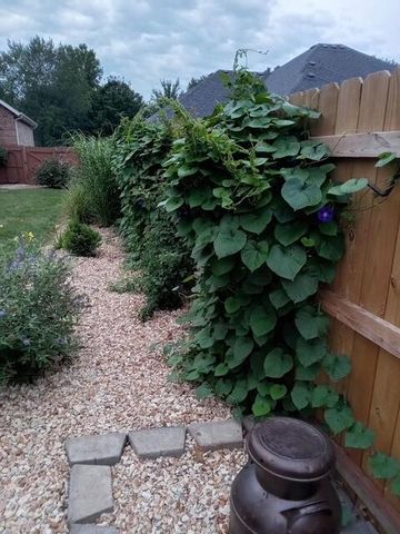 2325 W Camino Alto Street, Springfield, MO 65810