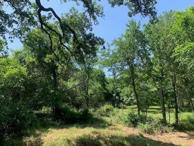 266 Colovista PKWY, Bastrop, TX 78602