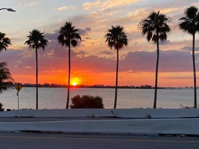 2126 HYDE PARK STREET, Sarasota, FL 34239