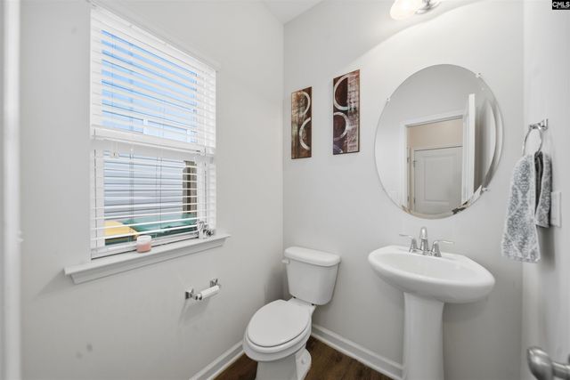 319 Bonhomme Court, Lexington, SC 29072