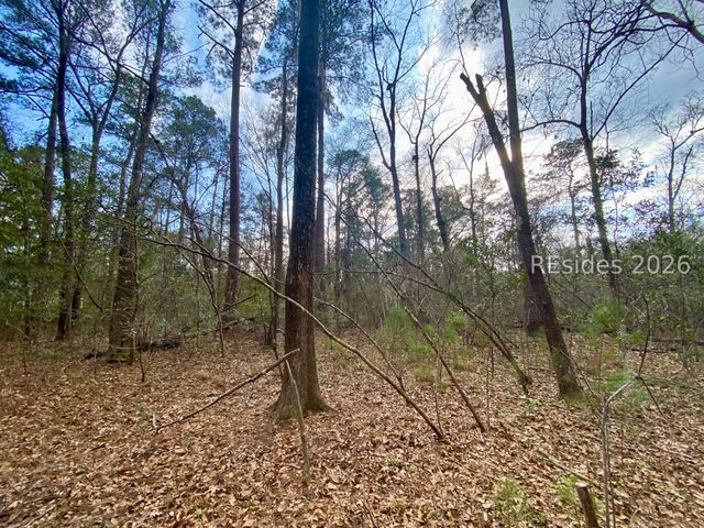 3 Blake Ln, Seabrook, SC 29940