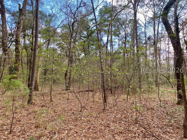 3 Blake Ln, Seabrook, SC 29940