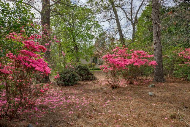 133 Steeplechase North, Columbia, SC 29209