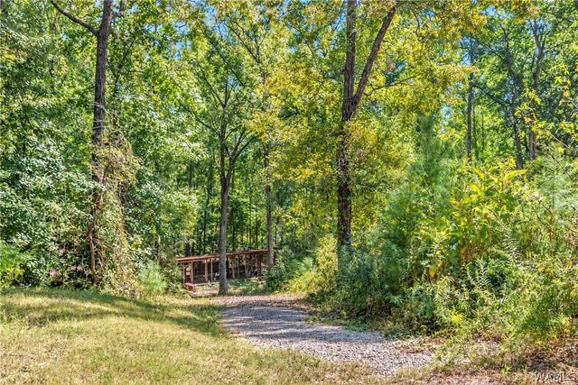 13044 Raintree, Duncanville, AL 35456