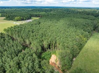 Parcel C J Runnels Rd., Petal, MS 39465