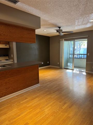 4506 S OAK DRIVE S42, Tampa, FL 33611