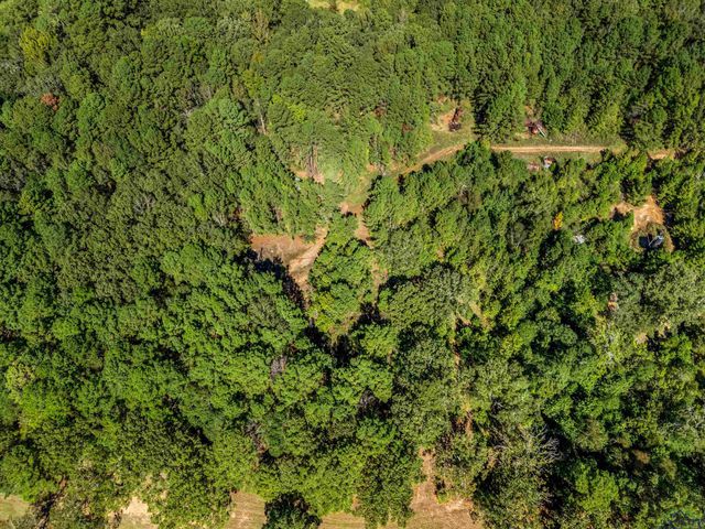 248 S State Highway 42, Henderson, TX 75654