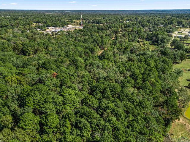 248 S State Highway 42, Henderson, TX 75654