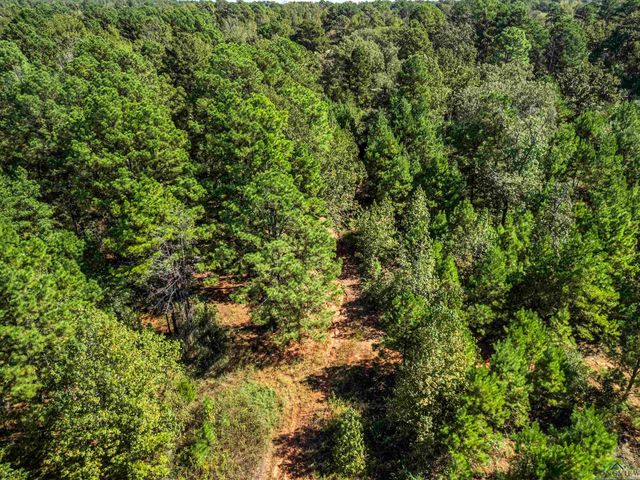 248 S State Highway 42, Henderson, TX 75654