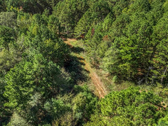 248 S State Highway 42, Henderson, TX 75654