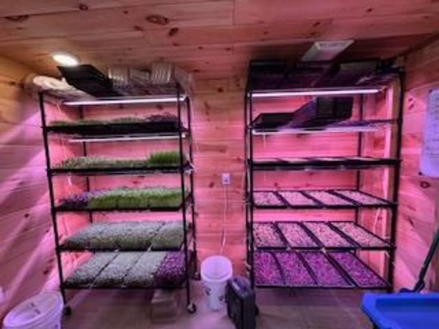 1638 New Stansbury Rd, Turtletown, TN 37391