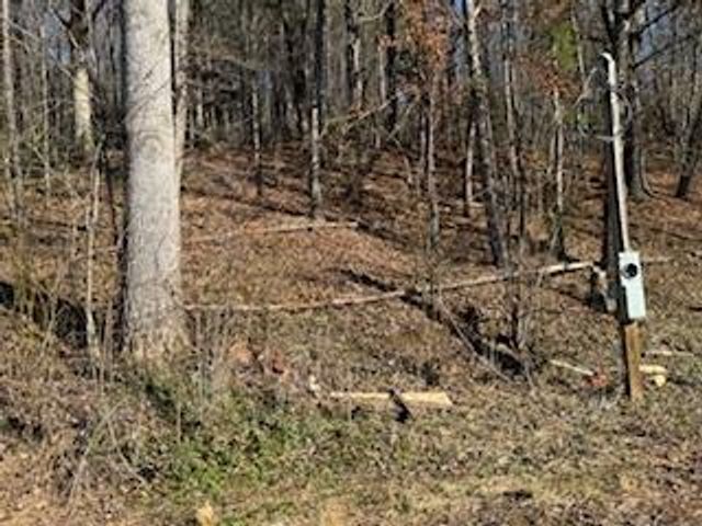 1638 New Stansbury Rd, Turtletown, TN 37391