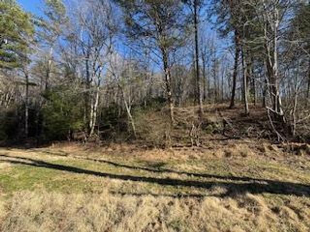 1638 New Stansbury Rd, Turtletown, TN 37391