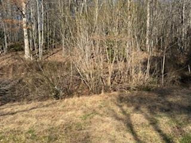 1638 New Stansbury Rd, Turtletown, TN 37391