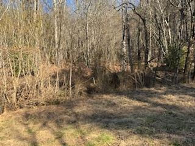 1638 New Stansbury Rd, Turtletown, TN 37391