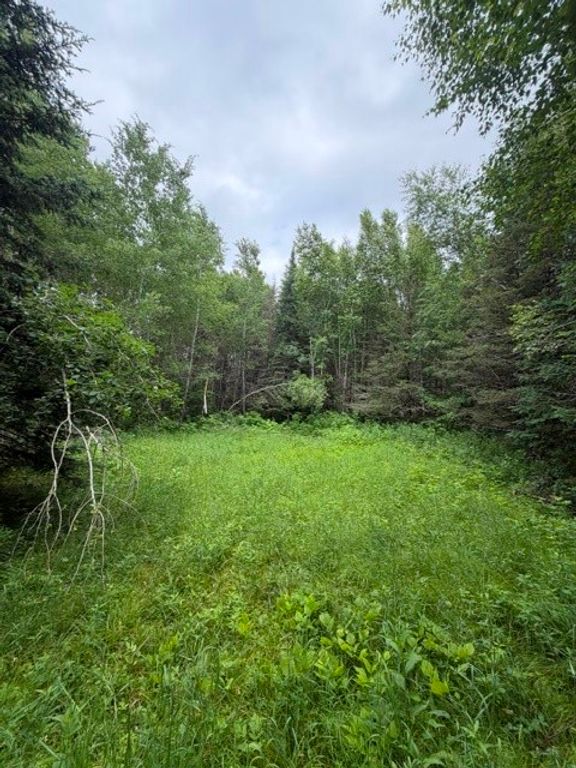 Image 1 of property listing at S 20 Acres 5th Ave, Trego, WI 54888