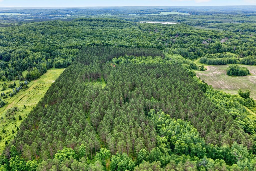 Image 13 of property listing at S 20 Acres 5th Ave, Trego, WI 54888