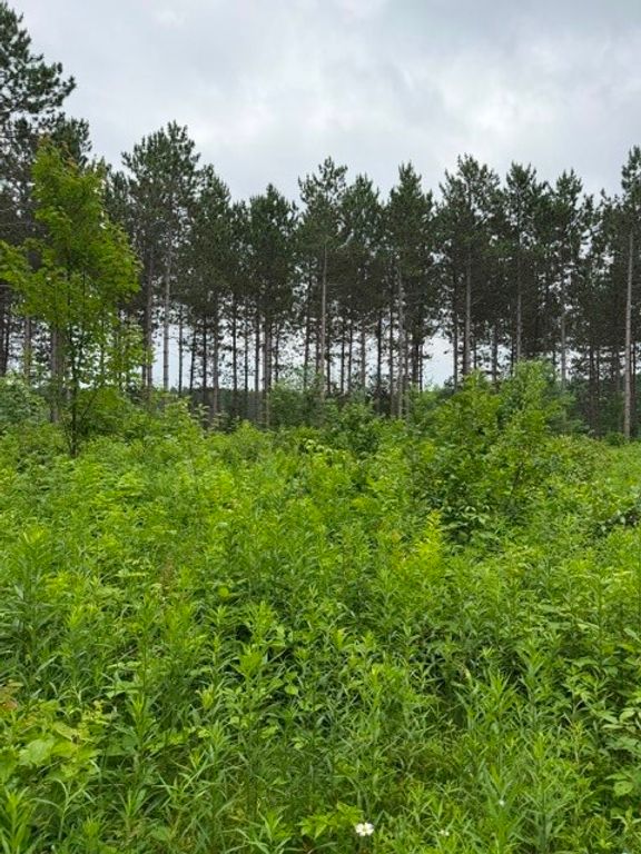 Image 5 of property listing at S 20 Acres 5th Ave, Trego, WI 54888