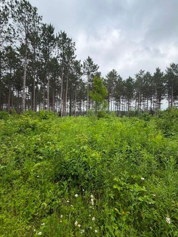 Image 6 of property listing at S 20 Acres 5th Ave, Trego, WI 54888