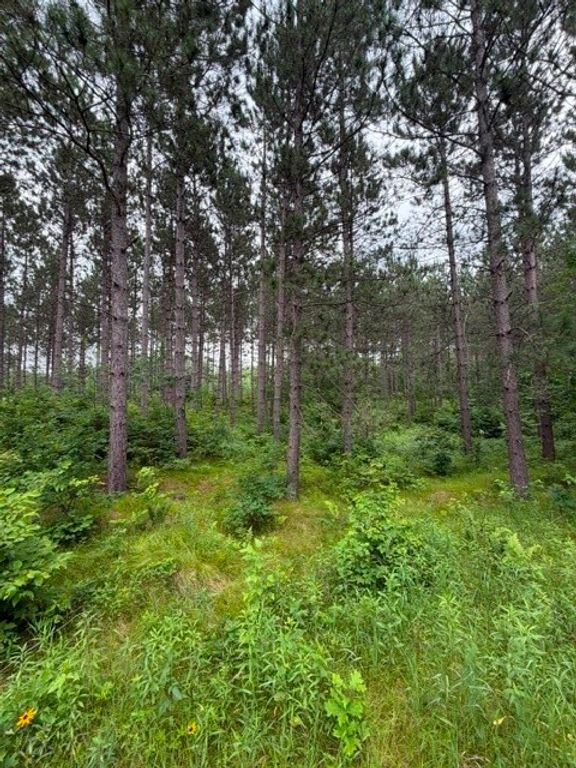 Image 9 of property listing at S 20 Acres 5th Ave, Trego, WI 54888
