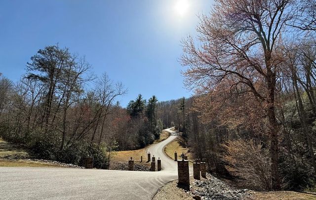 Lot 3 Wild Laurel, Brasstown, NC 28902