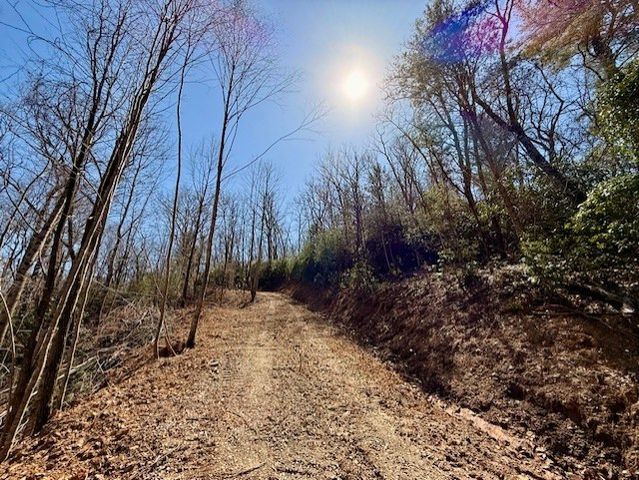 Lot 3 Wild Laurel, Brasstown, NC 28902