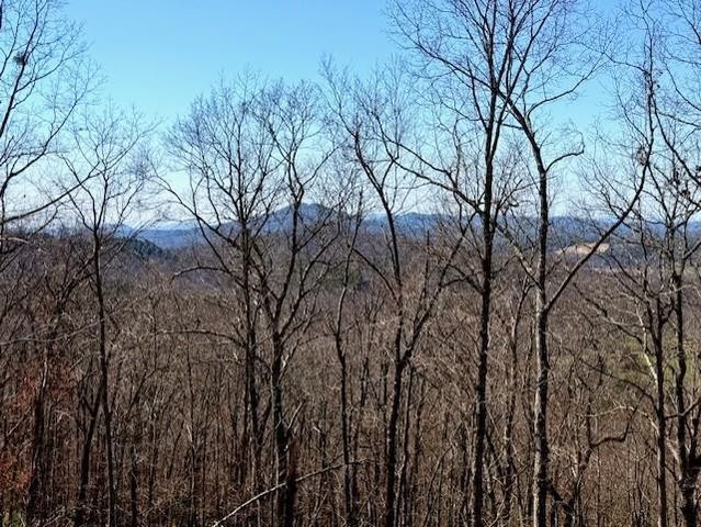 Lot 3 Wild Laurel, Brasstown, NC 28902