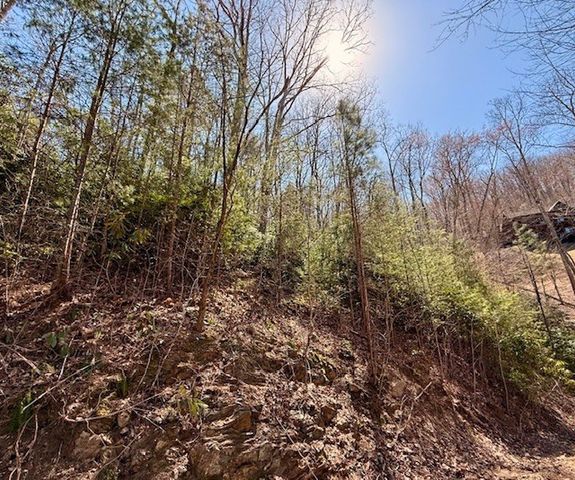 Lot 3 Wild Laurel, Brasstown, NC 28902