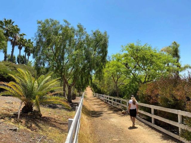 3226 Violet, Encinitas, CA 92024