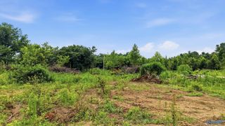 319 County Road 315 Lot 3, Bryant, AL 35958
