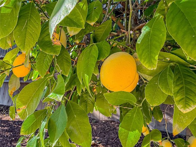 4627 Willens, Woodland Hills, CA 91364