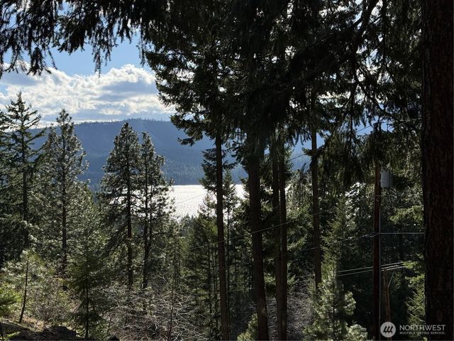 100 Lakeview Drive, Ronald, WA 98940