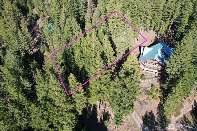 100 Lakeview Drive, Ronald, WA 98940