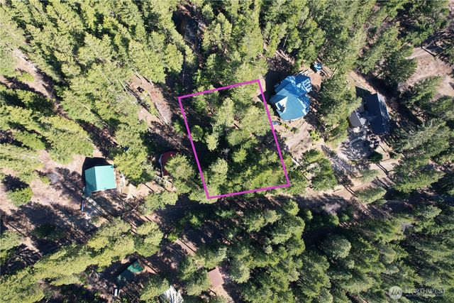 100 Lakeview Drive, Ronald, WA 98940