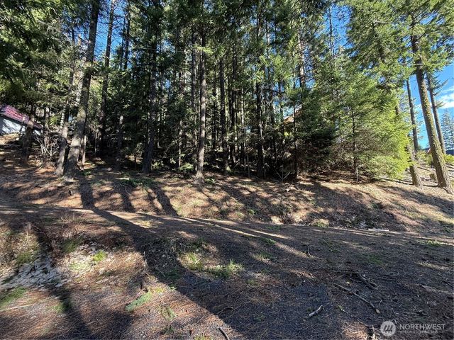 100 Lakeview Drive, Ronald, WA 98940