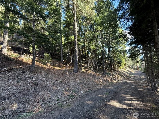 100 Lakeview Drive, Ronald, WA 98940