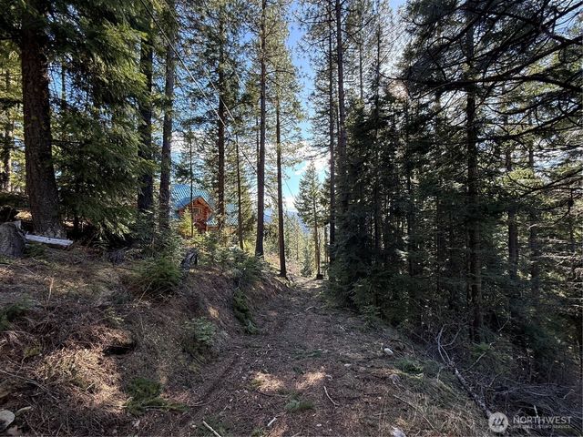100 Lakeview Drive, Ronald, WA 98940