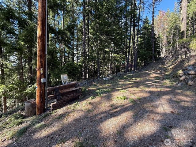 100 Lakeview Drive, Ronald, WA 98940