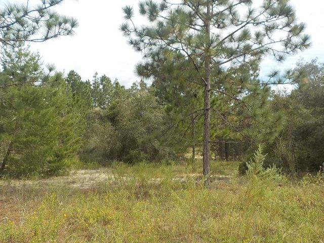 lot 21 SW FLORAL COURT, Dunnellon, FL 34431