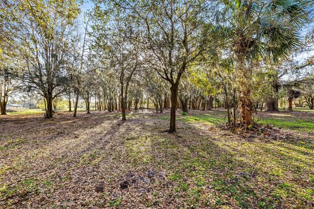 10946 GUN DOG WAY, Lithia, FL 33547