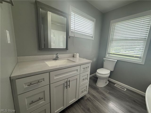 419 Dickson Street, Wellington, OH 44090