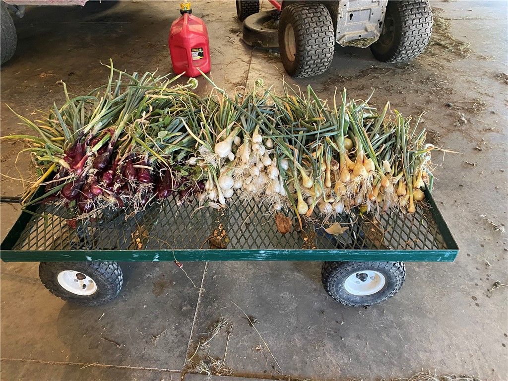 157 Hergenrider ROAD, Bridger, MT 59014 photo 10